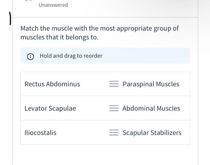 Solved Unanswered Match The Muscle With The Most Appropriate | Chegg.com