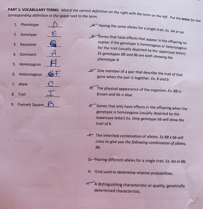 Match each vocabulary term on the left with its