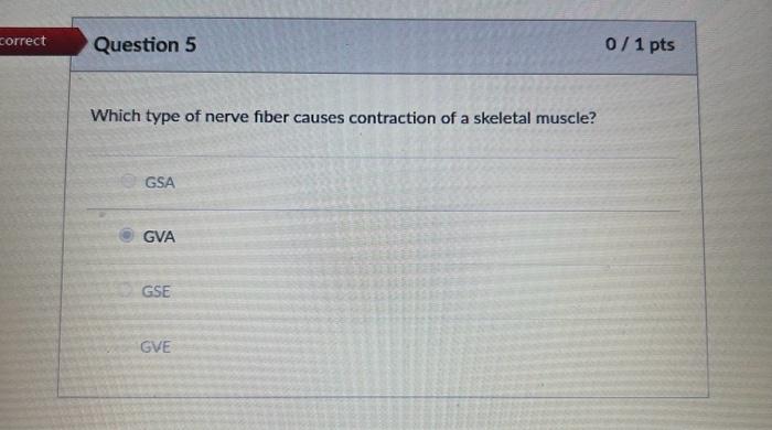 Can you please help me answer these 3 multiple choice | Chegg.com