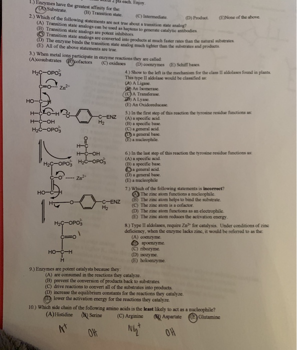 Solved 1.) Enzymes have the greatest affinity for the 2 pts