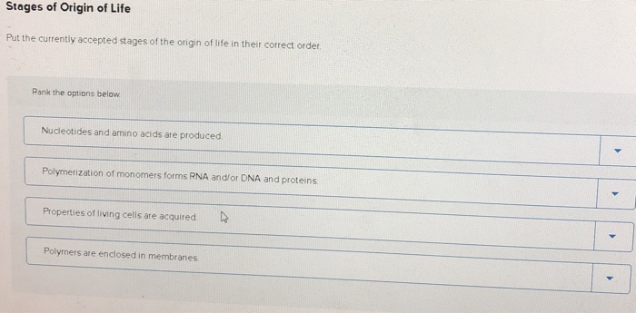 Solved Stages of Origin of Life Put the currently accepted | Chegg.com