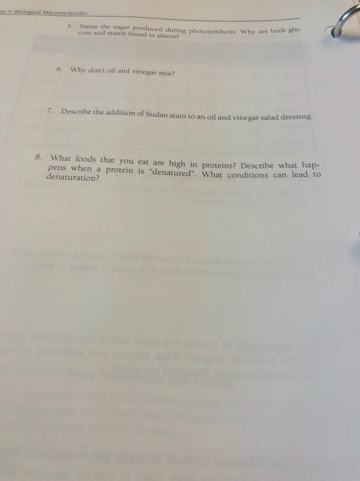 Solved Questions for Review/Applying Your Knowledge 1 | Chegg.com