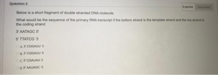 Solved Below is a short fragment of double stranded DNA | Chegg.com