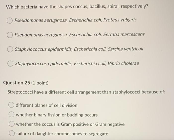 Solved Which Bacteria Have The Shapes Coccus Bacillus S Chegg Com