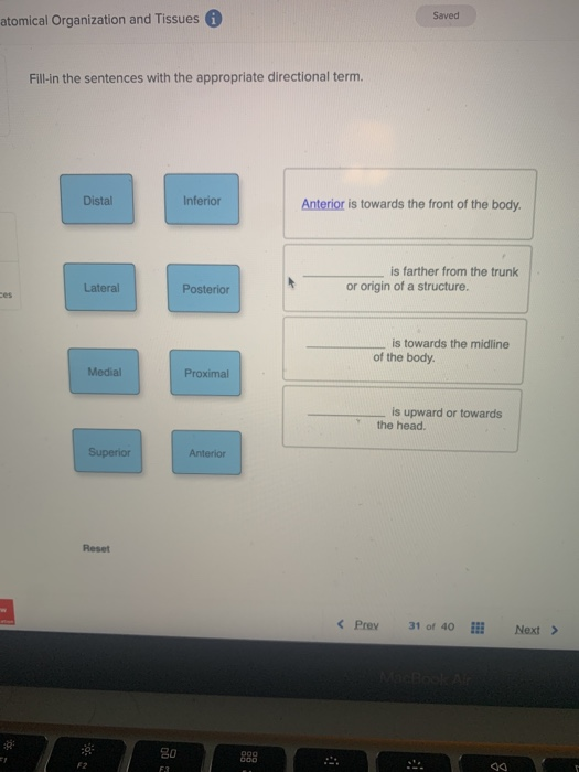 solved-saved-atomical-organization-and-tissues-fill-in-the-chegg