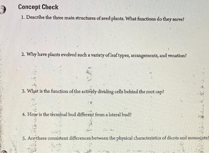 Solved Concept Check 1. Describe the three main structures | Chegg.com