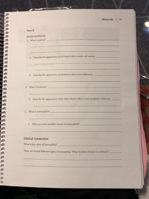 Solved L 10 Lab Review 1 Llll Part Badell With Its Correc Chegg Com