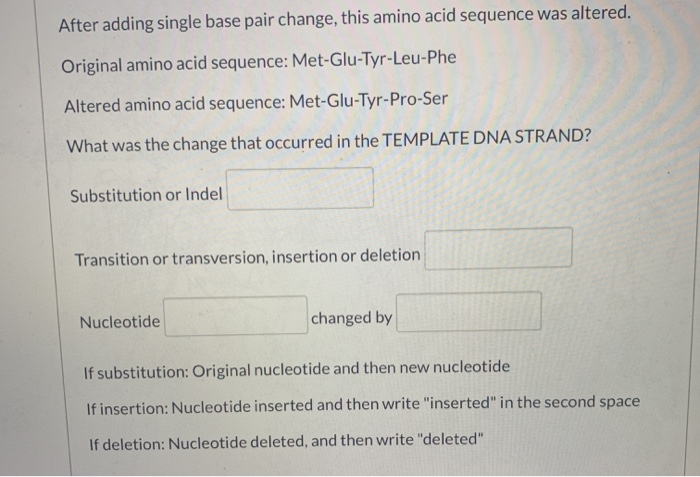 Solved After a single base pair change, the following amino | Chegg.com