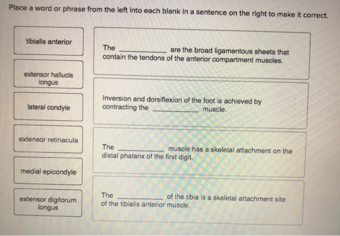 solved-place-a-word-or-phrase-from-the-left-into-each-blank-chegg