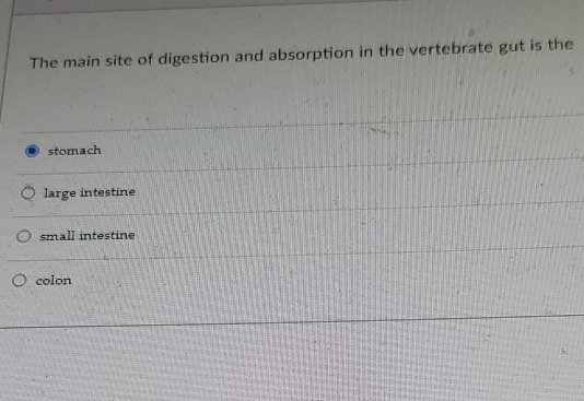 Solved The main site of digestion and absorption in the | Chegg.com