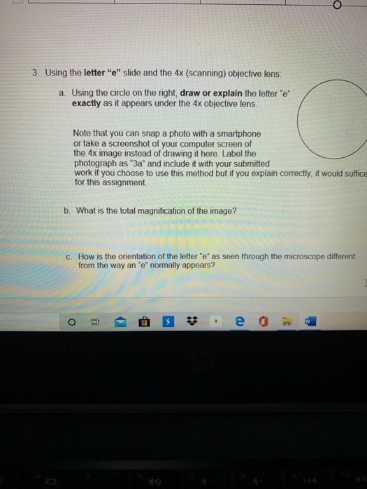 3. Using the letter "e" slide and the 4x (scanning)