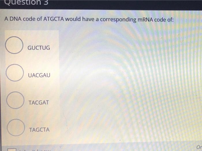 Solved Question 3 A DNA code of ATGCTA would have a | Chegg.com