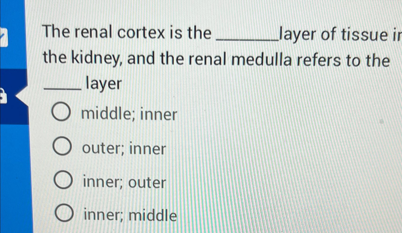 Solved The renal cortex is the layer of tissue i the kidney, | Chegg.com