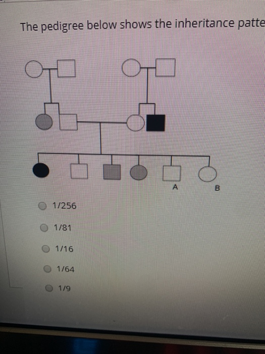 Solved The pedigree below shows the centers of words with | Chegg.com