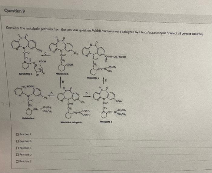 Solved Question 9 Consider the metabolic pathway from the | Chegg.com