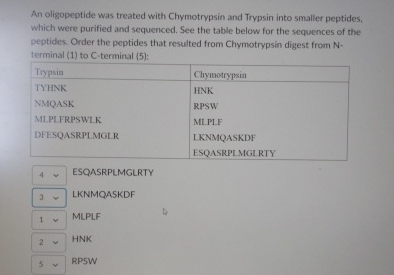 Solved An oligopeptide was treated with Chymotrypsin and | Chegg.com