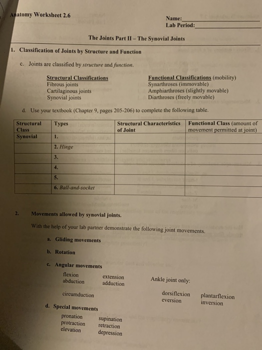Solved Anatomy Worksheet 2.6 Name: Lab Period: The Joints | Chegg.com