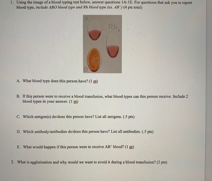 Solved 1. Using the image of a blood typing test below,