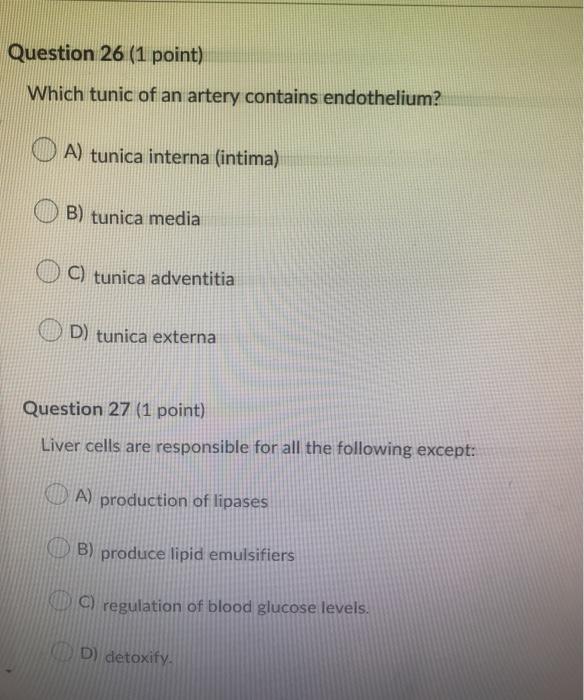 Solved Question 26 (1 Point) Which Tunic Of An Artery | Chegg.com