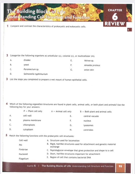 Solved Chapter The Building Blocks Of Life Understanding