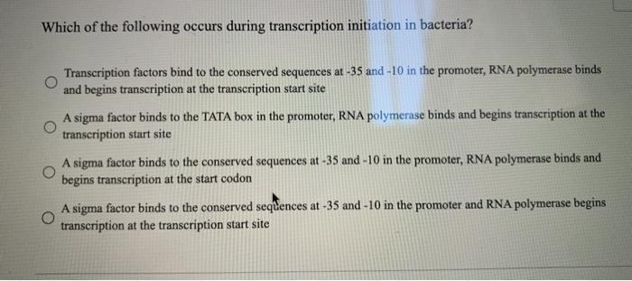 Solved Which Of The Following Occurs During Transcription | Chegg.com