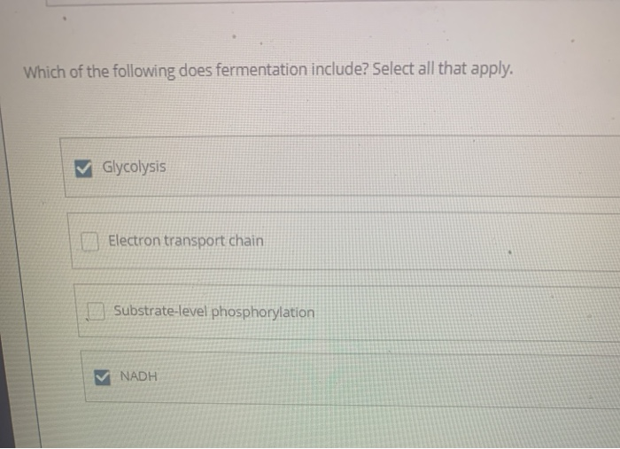 Solved Which of the following does fermentation include? | Chegg.com