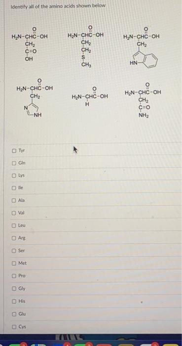 Solved Identify all of the amino acids shown below Tyt Gin | Chegg.com