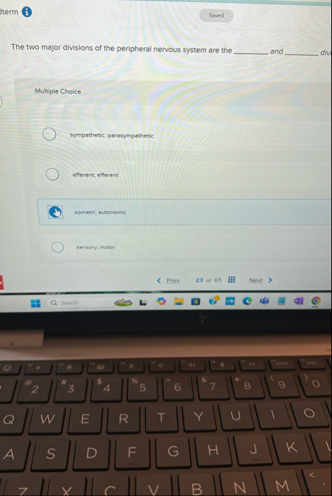 Solved termThe two major divisions of the peripheral nervous | Chegg.com