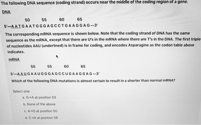 Solved Use the following mRNA codon key as needed to answer | Chegg.com