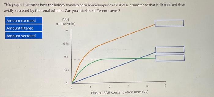 Solved This graph illustrates how the kidney handles | Chegg.com