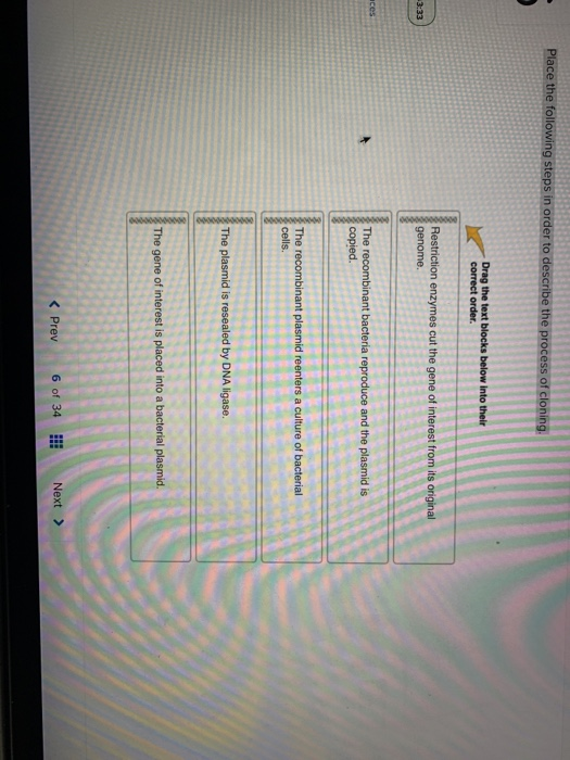 Solved Place the following steps in order to describe the | Chegg.com