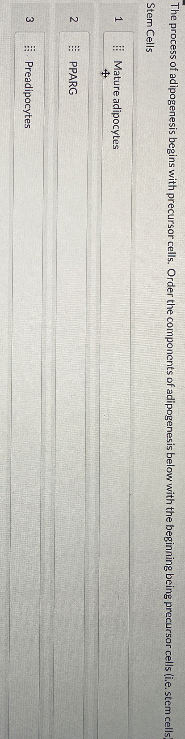 Solved The process of adipogenesis begins with precursor