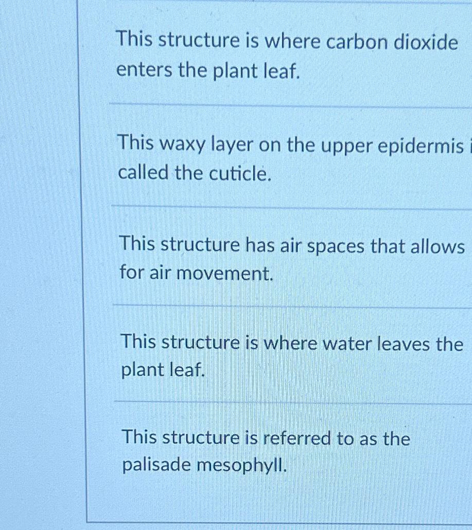 Solved This structure is where carbon dioxide enters the | Chegg.com