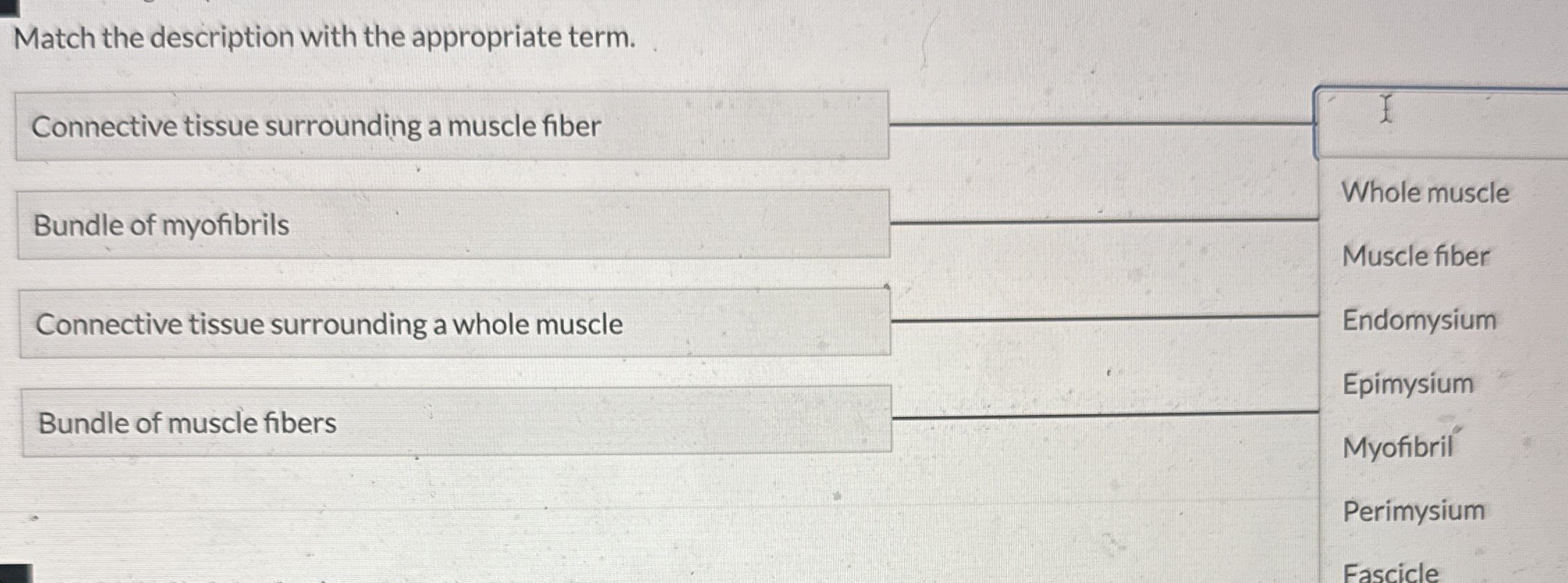 Match the description with the appropriate | Chegg.com