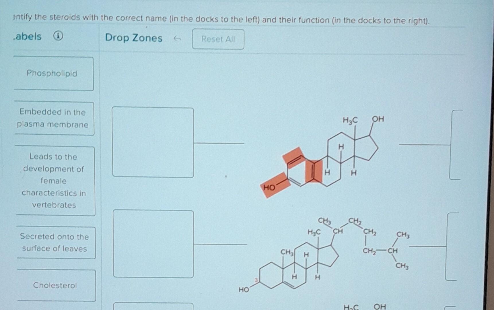 Solved Entify The Steroids With The Correct Name (in The | Chegg.com