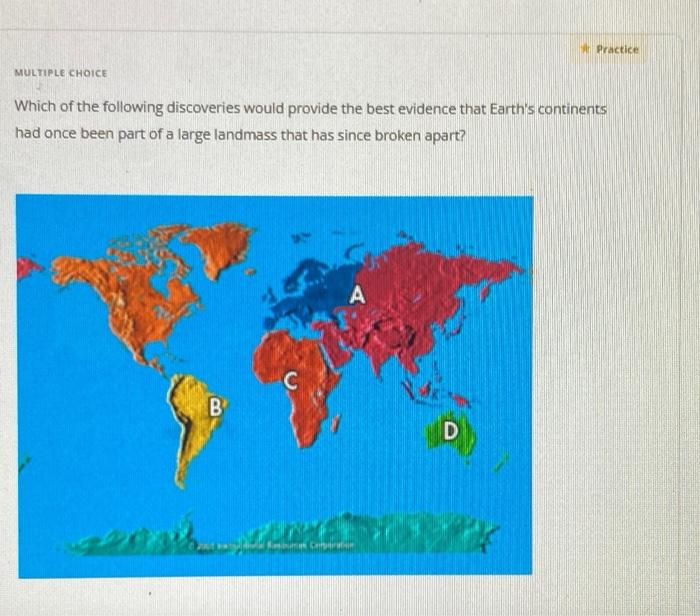 Solved MULTIPLE CHOICE Which Of The Following Discoveries | Chegg.com