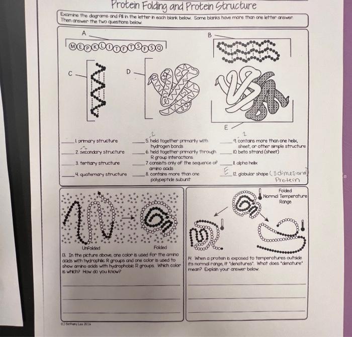Solved Protein Folding and Protein Structure Examine the | Chegg.com