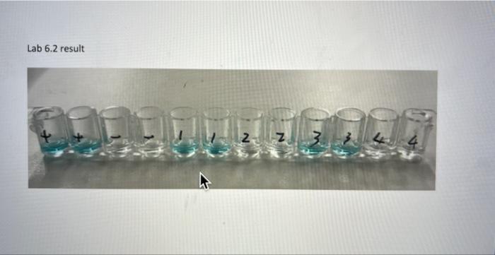 Solved LAB 6.2 QUESTIONS (Out of 2 points) 1. Why do you | Chegg.com