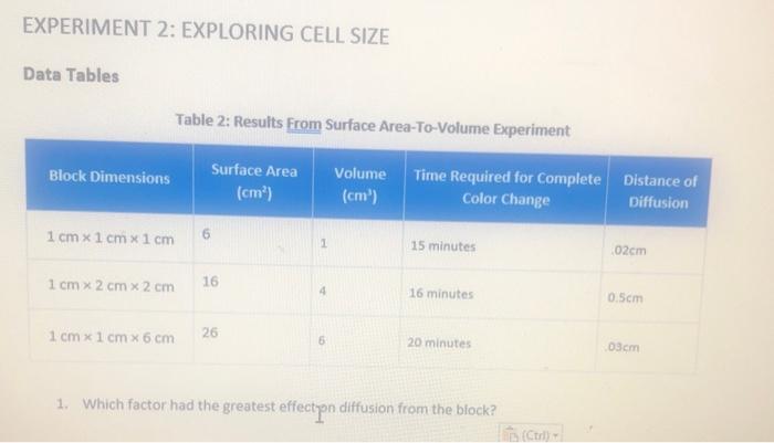 experiment 2 exploring cell size