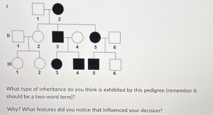 Solved What type of inheritance do you think is exhibited by | Chegg.com