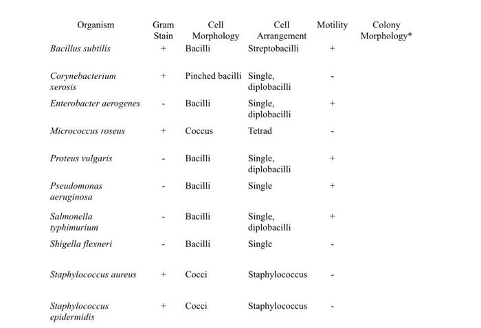 Can You Help Me With The Colony Morphology Of These Chegg Com