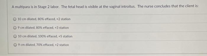 A multipara is in Stage 2 labor. The fetal head is visible at the vaginal introitus. The nurse concludes that the client is: