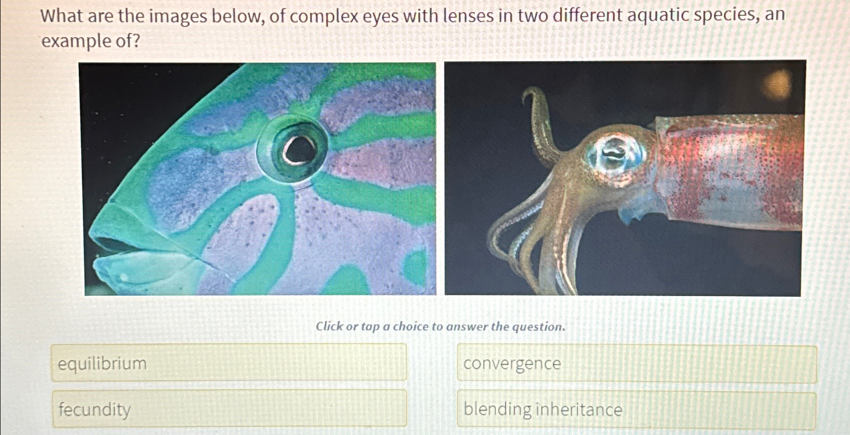 Solved What are the images below, of complex eyes with | Chegg.com