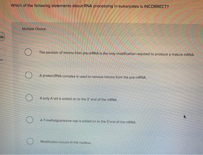 Solved Which Of The Following Statements About RNA | Chegg.com