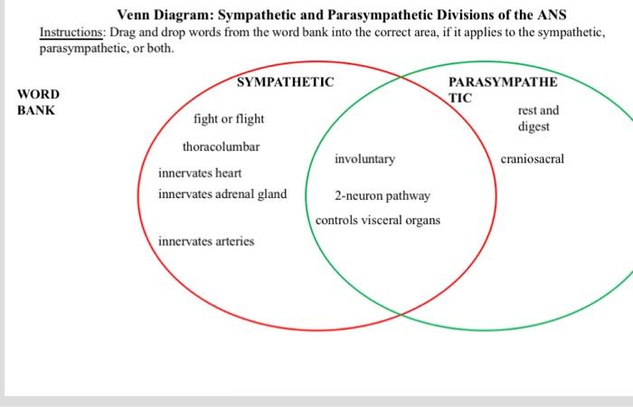Solved Venn Diagram: Sympathetic and Parasympathetic | Chegg.com
