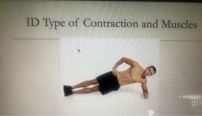 Solved ID Type of Contraction and Muscles ID Type of | Chegg.com