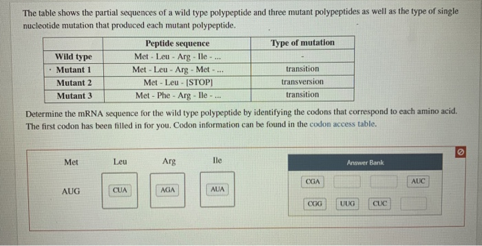 Solved The table shows the partial sequences of a wild type | Chegg.com