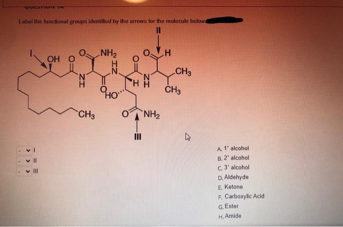 Solved ULTIT Label the functional groups identified by the | Chegg.com