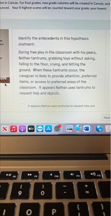 grade essay questions in canvas