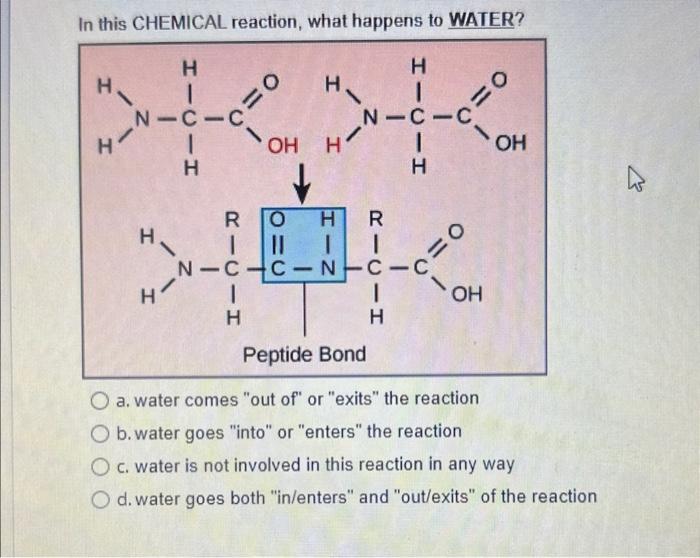 Solved In this CHEMICAL reaction, what happens to WATER? a. | Chegg.com
